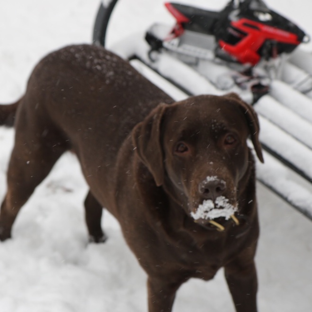 Meet your Posher, Lauryna